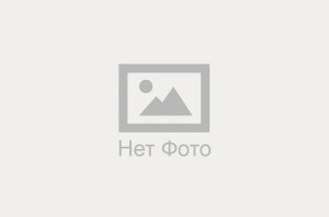 Литвин Элина Алексеевна Литвин Элина Алексеевна
